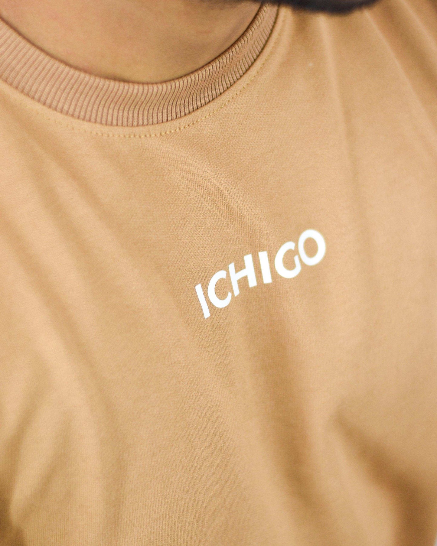 Ichigo Clothing India Basic Brown